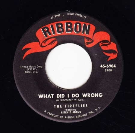 FIREFLIES - What did I do wrong -B-.JPG