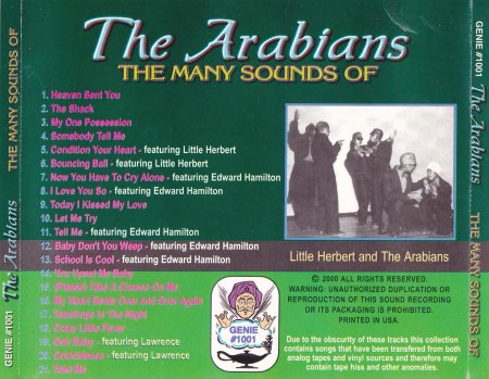 Arabians - Many Sounds of (2).jpg