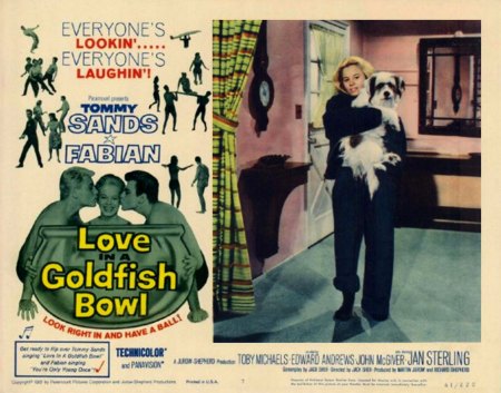 LOVE IN A GOLDFISH BOWL_MV§006.jpg