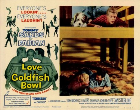 LOVE IN A GOLDFISH BOWL_MV§004.jpg