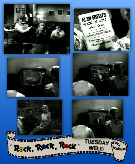 ROCK ROCK ROCK_MV§038.jpg
