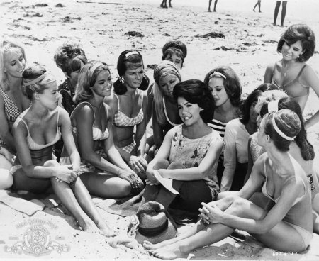still-of-annette-funicello-in-how-to-stuff-a-wild-bikini-(1965)-large-picture.jpeg