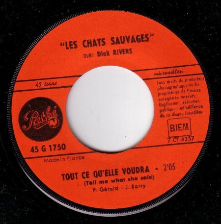 k-les chats sauvages 5.JPG