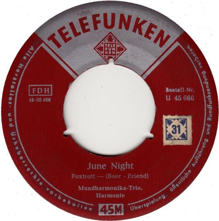0007-mundharmonika-trio-harmonie-june-night-31.jpg