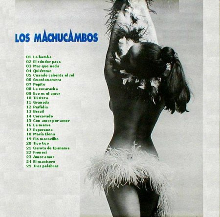 Los Machucambos - La Bamba  (2).jpg