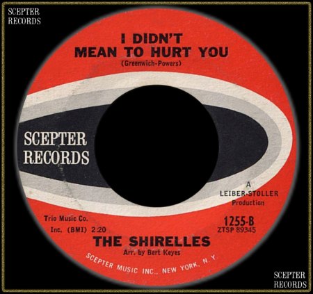 SHIRELLES - I DIDN'T MEAN TO HURT YOU_IC#002.jpg