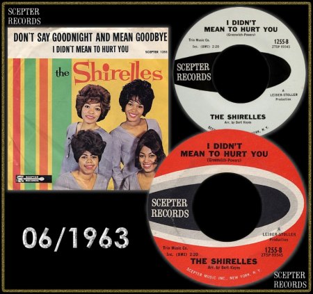 SHIRELLES - I DIDN'T MEAN TO HURT YOU_IC#001.jpg