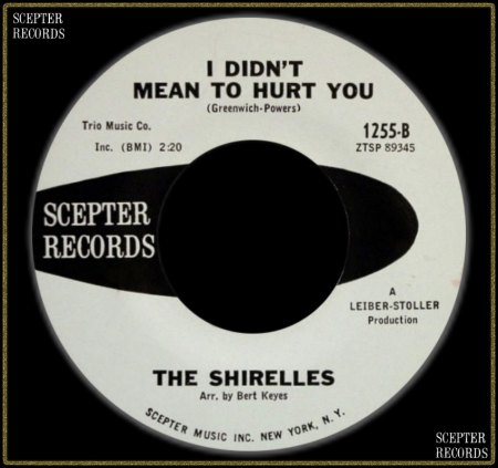 SHIRELLES - I DIDN'T MEAN TO HURT YOU_IC#003.jpg