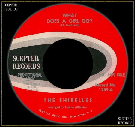 SHIRELLES - WHAT DOES A GIRL DO_IC#002.jpg