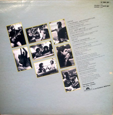 Buchanan, Roy - You're not alone (2)_Bildgröße ändern.jpg