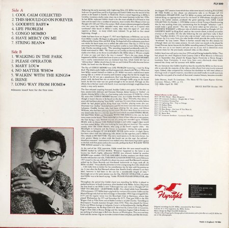 Guitar Gable - Fly36  (4)_Bildgröße ändern.jpg