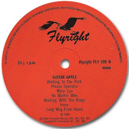 Guitar Gable - Fly36  (3).jpg