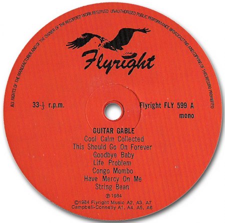 Guitar Gable - Fly36  (2).jpg