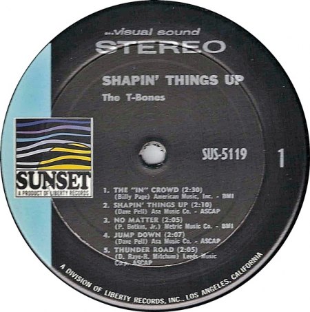 T-Bones - Shapin' Things Up_2.jpg