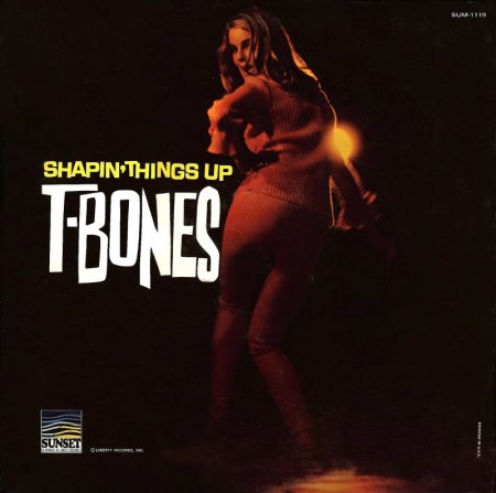 T-Bones - Shapin' Things Up_1.jpg