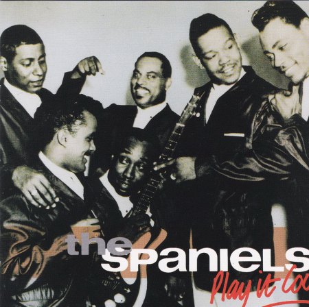 Spaniels - Play It Cool _Bildgröße ändern.jpg