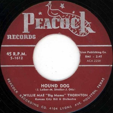 Tiere202Hound Diog Big Mama.jpg