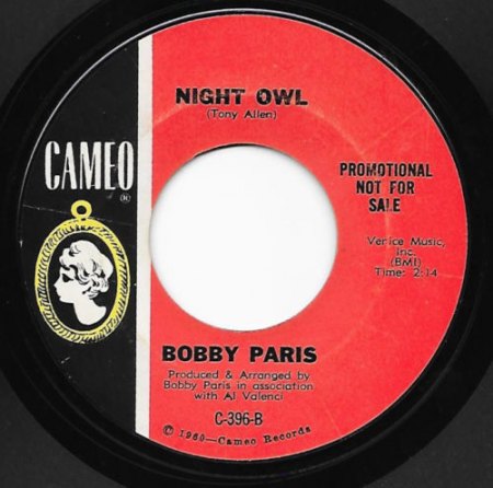 Tiere88Night Owl.jpg