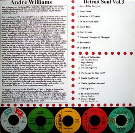 Williams, Andre - Detroit Soul Vol 3 (2).jpg