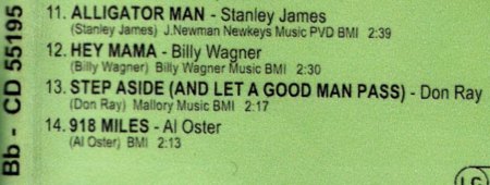 Kopie van 55195 front_backxx.jpg