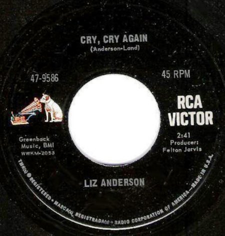 ANDERSON A6.JPG