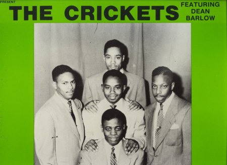 Crickets in black 11_Bildgröße ändern.jpg