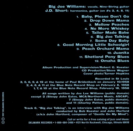 Big Joe Williams - Piney Woods Blues - Inlay_Bildgröße ändern.jpg