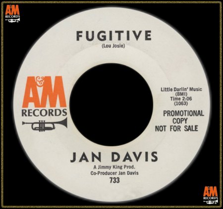 JAN DAVIS - FUGITIVE_IC#003.jpg