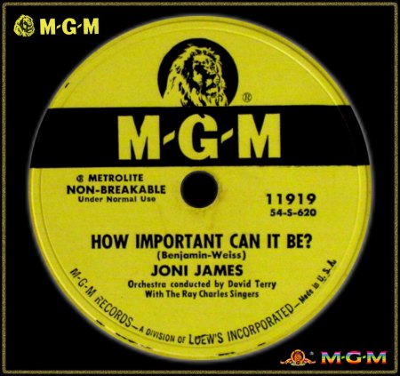 JONI JAMES - HOW IMPORTANT CAN IT BE_IC#002.jpg