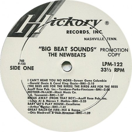 Newbeats - Big Beat Sounds (6)_Bildgröße ändern.jpg