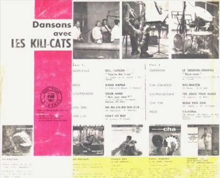 Kili-Cats - LP back.jpg