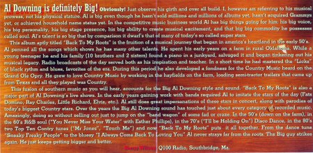 Big Al Downing - 2-3_Bildgröße ändern.jpg