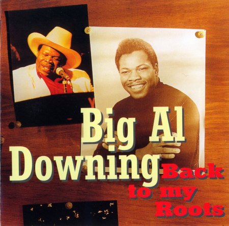Big Al Downing - Front_Bildgröße ändern.jpg