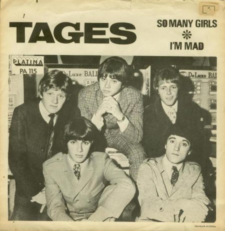 tagesSWEcover.jpg