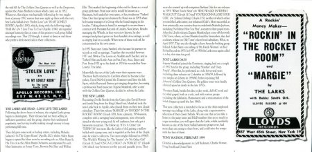 Larks page 6-7.jpg