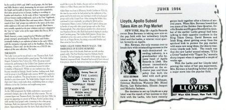Larks page 2-3.jpg
