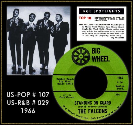 FALCONS - STANDING ON GUARD_IC#001.jpg