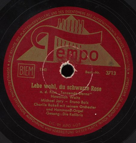 Kolibris - Tempo 3713 A_Bildgröße ändern.jpg