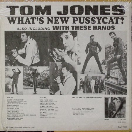 back_Bildgröße ändern.JPG