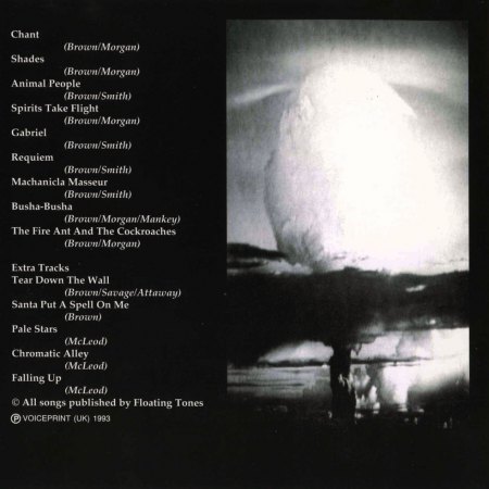 Brown, Arthur - Requiem.jpg