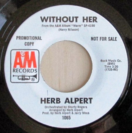 ALPERT B1.jpg