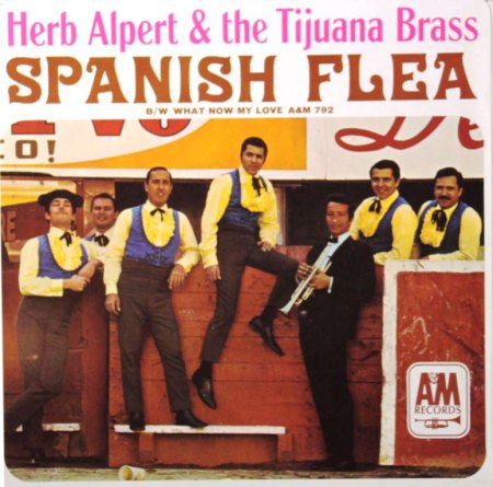 ALPERT D3.jpg