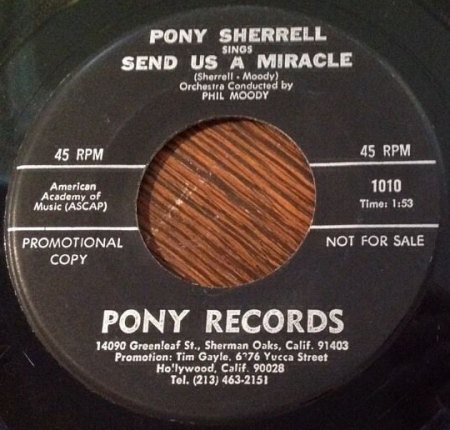 Sherrell,Pony01b.jpg