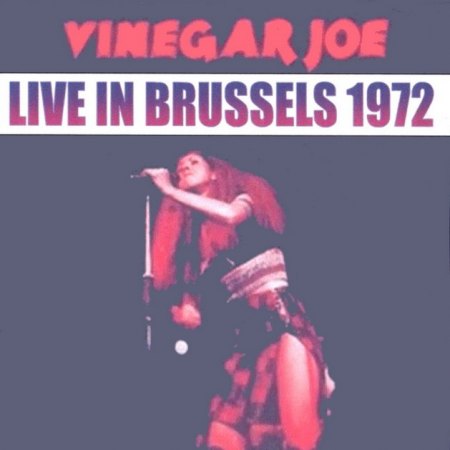Vinegar Joe - Live in Brüssel 1972_1y_Bildgröße ändern.jpg