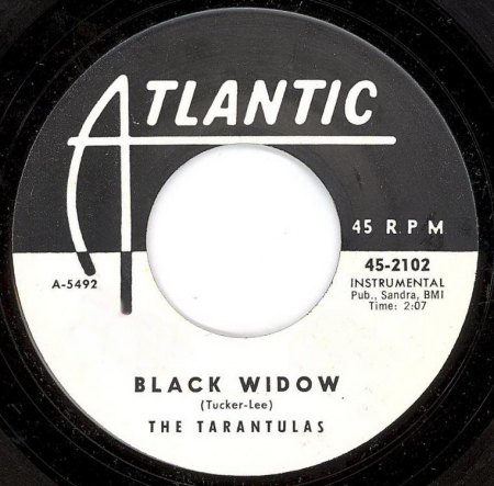 tarantulas black widow.jpg