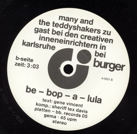 Many &amp; the Teddyshakers _Bildgröße ändern.jpg