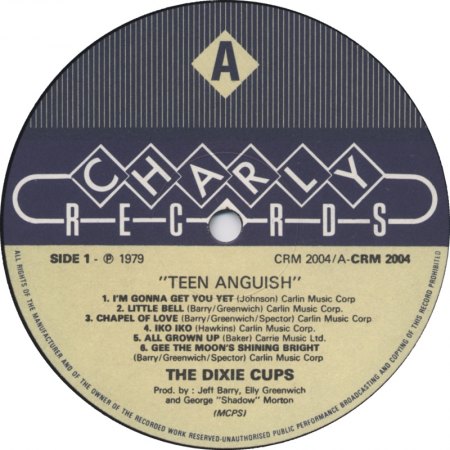 the-dixie-cups-crm-2004-ab.jpg