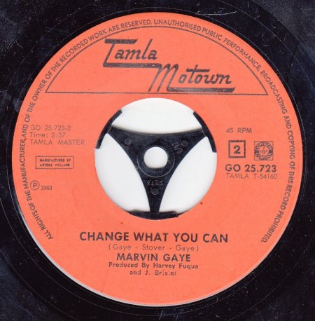 MARVIN GAYE - Change what you can -B-.jpg