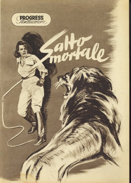 Salto mortale _Bildgröße ändern.jpg