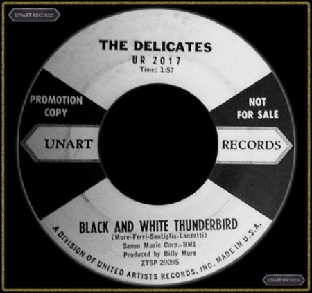 DELICATES - BLACK AND WHITE THUNDERBIRD_IC#003.jpg